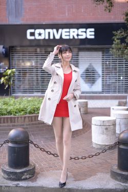 BT鹦鹉磁力